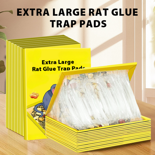 🐭 BUY 2 GET 3! ✨ Extra Large Sticky Mouse Traps - Non-Toxic Adhesive Surface for Effective Pest Control 🚫🧀