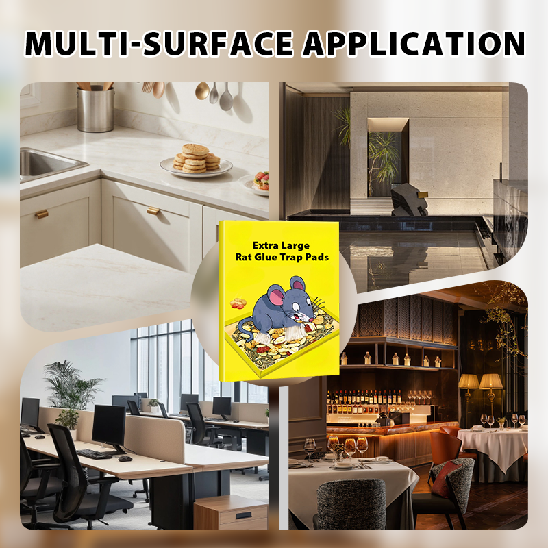 🐭 BUY 2 GET 3! ✨ Extra Large Sticky Mouse Traps - Non-Toxic Adhesive Surface for Effective Pest Control 🚫🧀